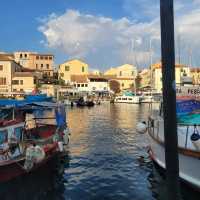 maddalena islands are well worth the visit and short drive from hotel
