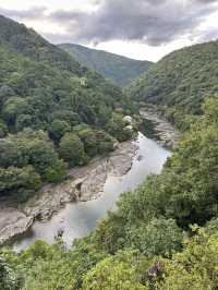 【京都近郊必去的一個熱門景點，嵐山的竹林小路，成為世一打卡熱點！】