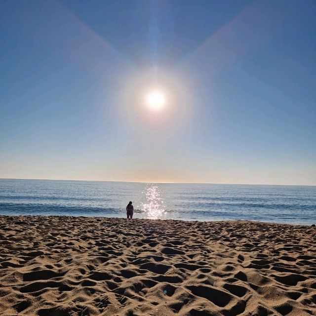 Golden Sands: A Beach Lover's Paradise 🏖️✨