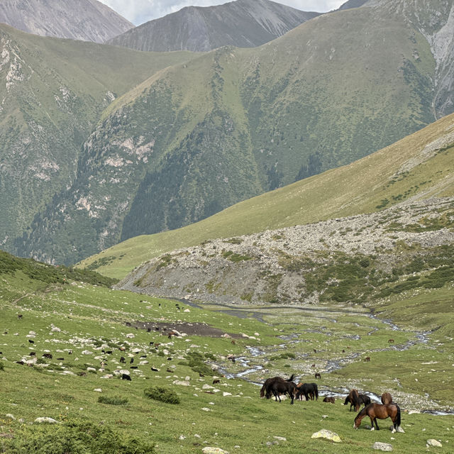 Guide to hiking the 3 day Ala Kul Lake hike! WITHOUT A GUIDE