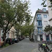 Discover the Cherry Bloosom in Bonn