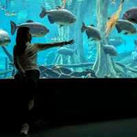 🐾 估唔到係巴塞隆拿都可以見到佢!?CosmoCaixa 科學博物館 🐟
