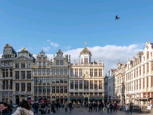 ชมแสงสีคริสต์มาสสุดอลังการที่จตุรัส Grand Place