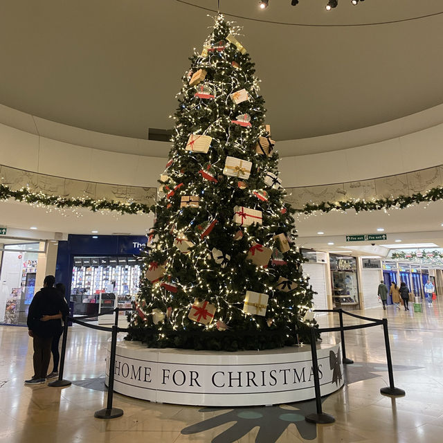 Christmas Shopping at Cardiff Shopping Centre: Festive Flair and Holiday Cheer