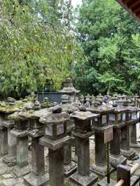 NARA, JAPAN: MY UNFORGETTABLE DAY AMONG DEERS AND TEMPLES 