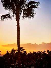 Tenerife Sunsets