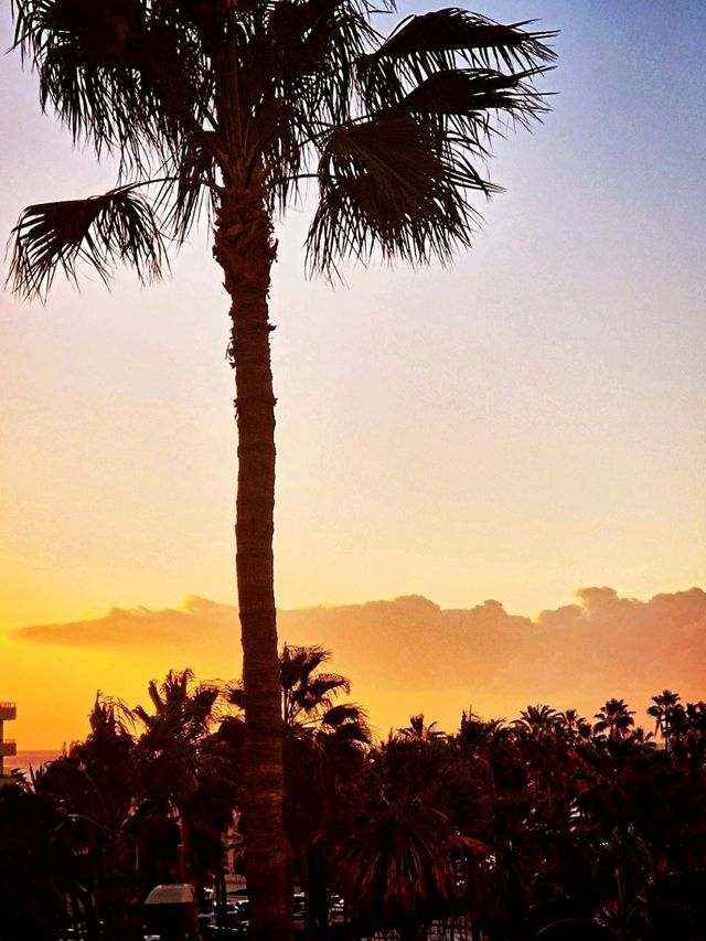 Tenerife Sunsets