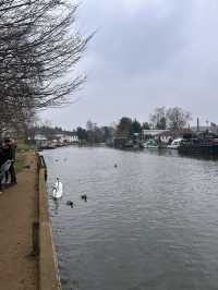 A village by the water 