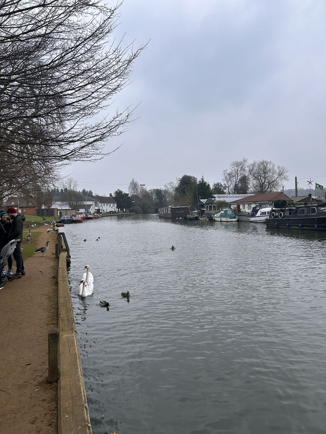 A village by the water 