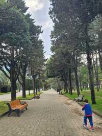 🇬🇪 Batumi, Georgia – Travel Guide 🌊🌴