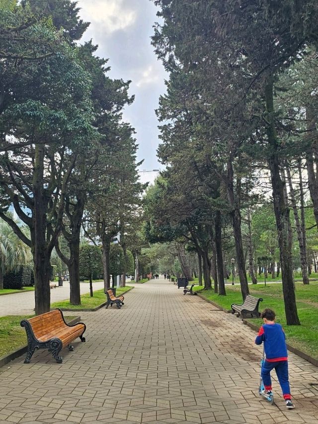 🇬🇪 Batumi, Georgia – Travel Guide 🌊🌴