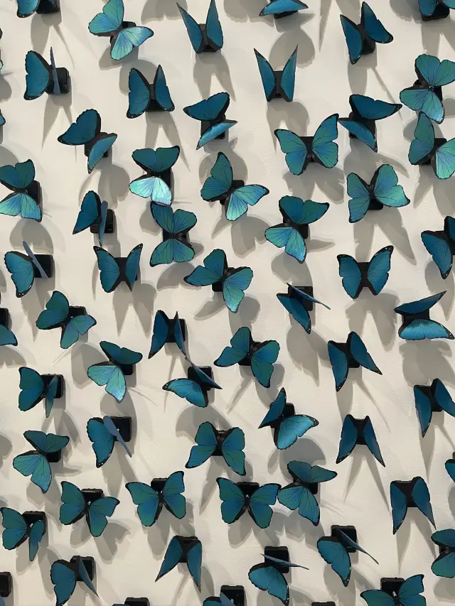 Where Art Gets Political: The Museum That Hits Different