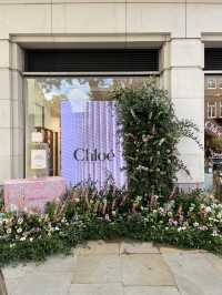 London | Must visit Chelsea Flower Show
