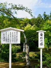 Kyoto – Timeless Beauty and Spiritual Serenity