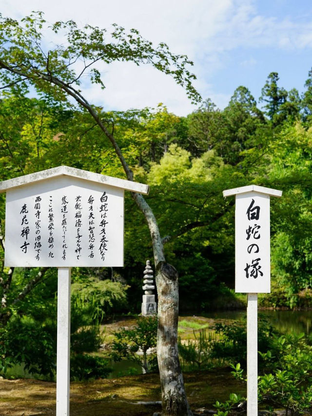 Kyoto – Timeless Beauty and Spiritual Serenity