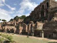 Roma: looking for history - Go to the FORUM
