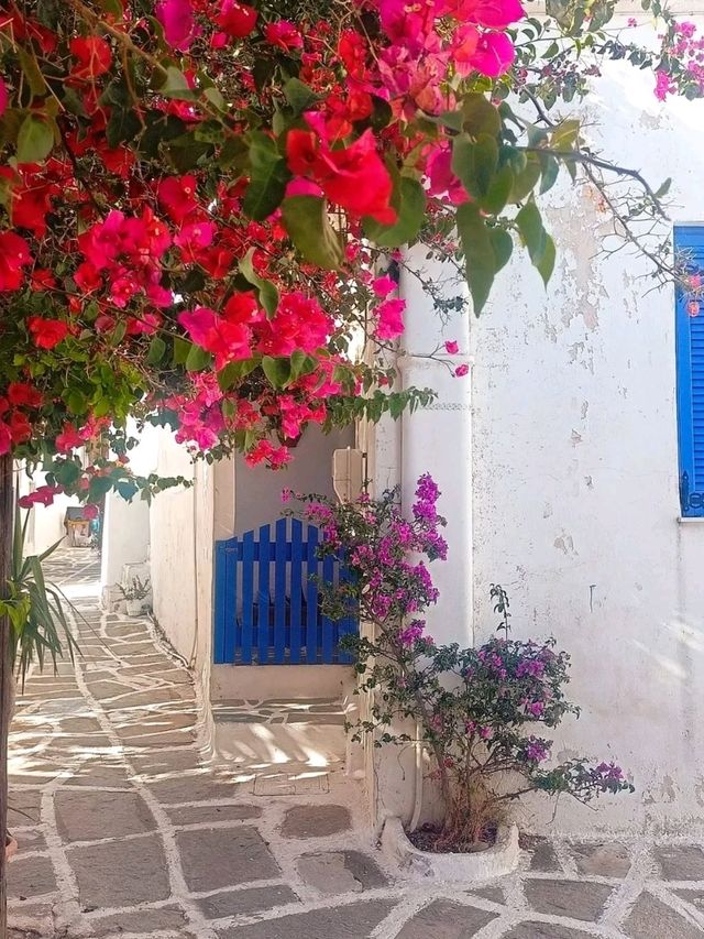 🌊 Paros: A Perfect Blend of Cycladic Charm and Vibrant Island Life 🇬🇷✨