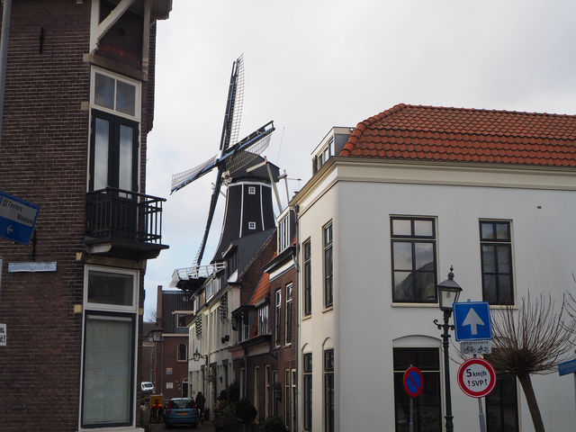 Visiting a typical Dutch city without the manic buzz of Amsterdam! 