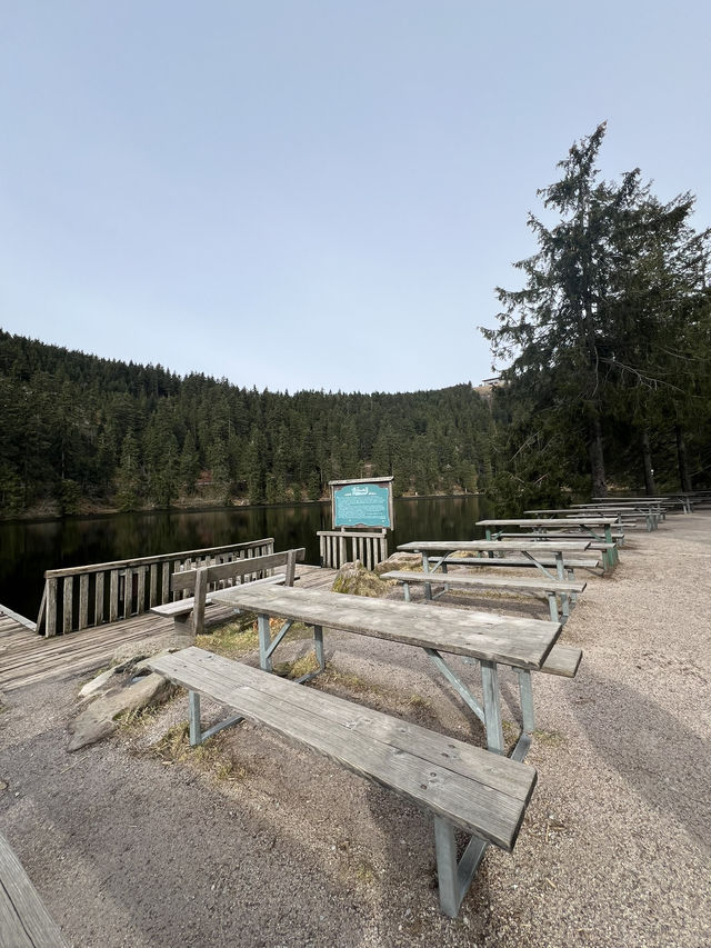 Schwarzwald: Where fairy tales are born and nature speaks in whispers of pine 🇩🇪🌲🏞️