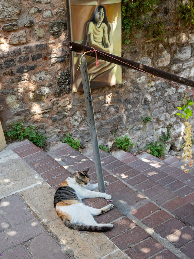 Istanbul city walk