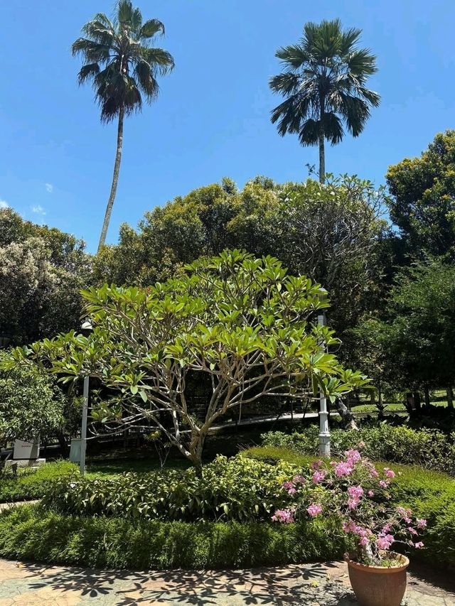 🌿 A Lush City Retreat – Perdana Botanical Garden, Kuala Lumpur