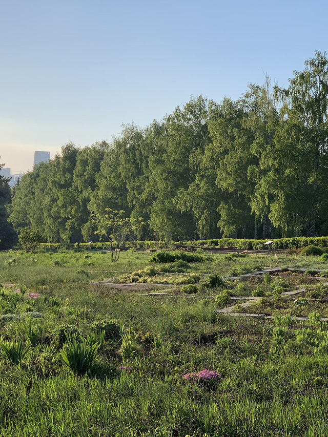 🌲✨ Уфа’s Green Heart: Whispers of Ancient Forests & Family Laughter!