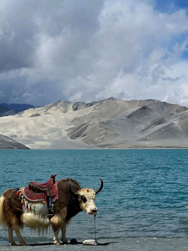 🏔️ Baisha Lake: Xinjiang’s Hidden Mirror of the Kunlun Mountains
