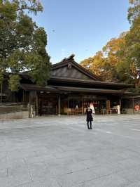 Tokyo and Kyoto: where pop culture, street food, and peaceful shrines collide