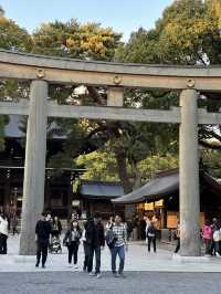Japan Itinerary 9: Tokyo art, street, gardens and shrines