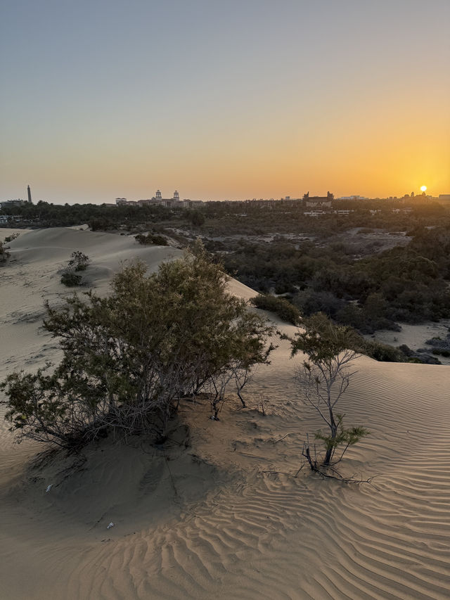 The Dunes of Maspalomas, Gran Canaria 🏜️