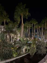 🌴 Maspalomas Princess Hotel Review