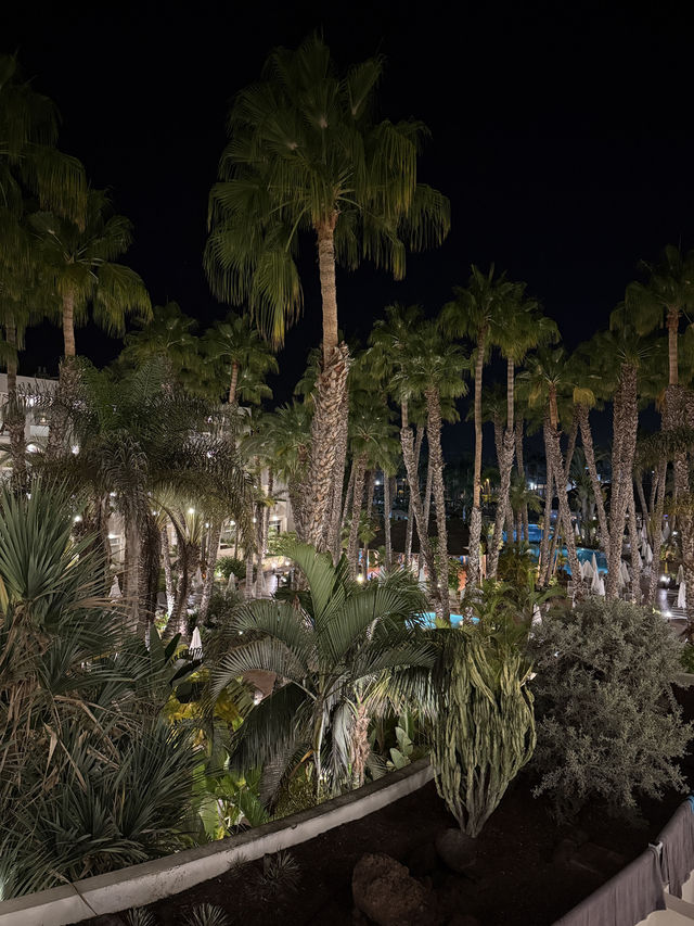 🌴 Maspalomas Princess Hotel Review