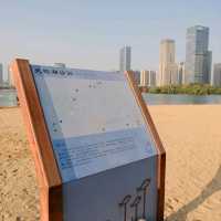 East Part of Swan Lake, Hefei 🌅🌊