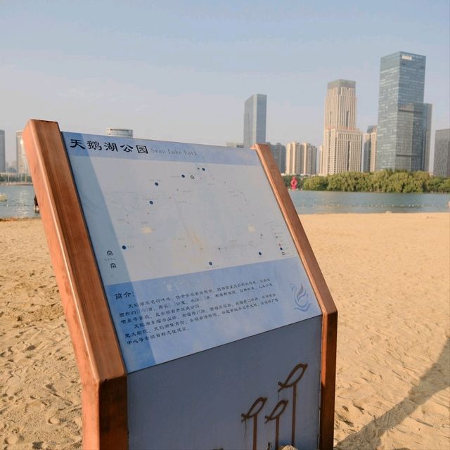 East Part of Swan Lake, Hefei 🌅🌊