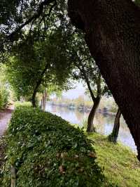 Tranquil Beginnings