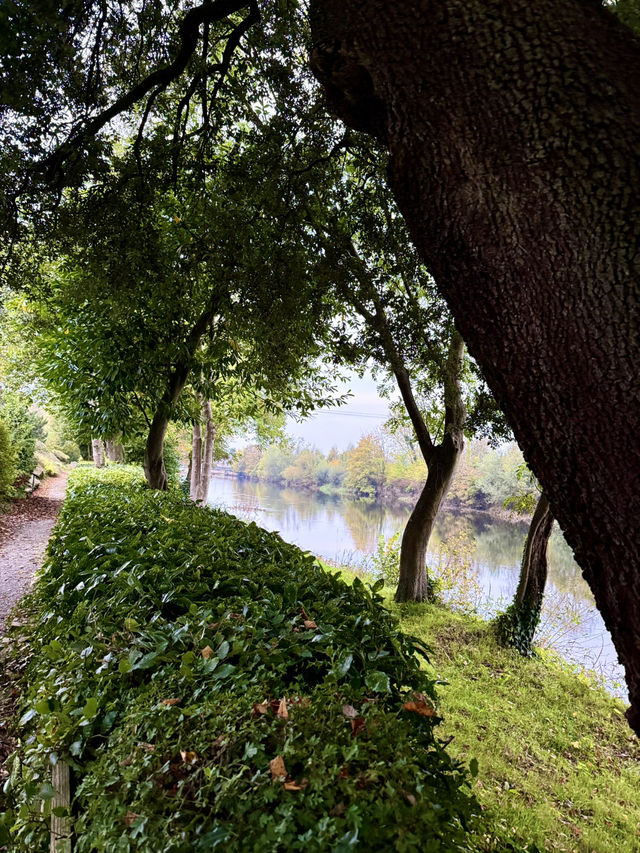 Tranquil Beginnings