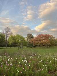 🍁 Walpole Park – Autumn Calm in the Heart of Ealing 🍂🦆