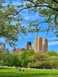 Central Park, it’s basically Hollywood’s favorite green screen!