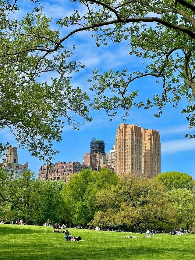 Central Park, it’s basically Hollywood’s favorite green screen!