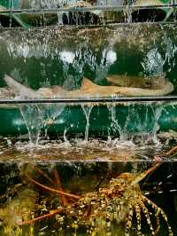 PHU QUOC — THE PLACE YOU'D WANT TO NEVER LEAVE