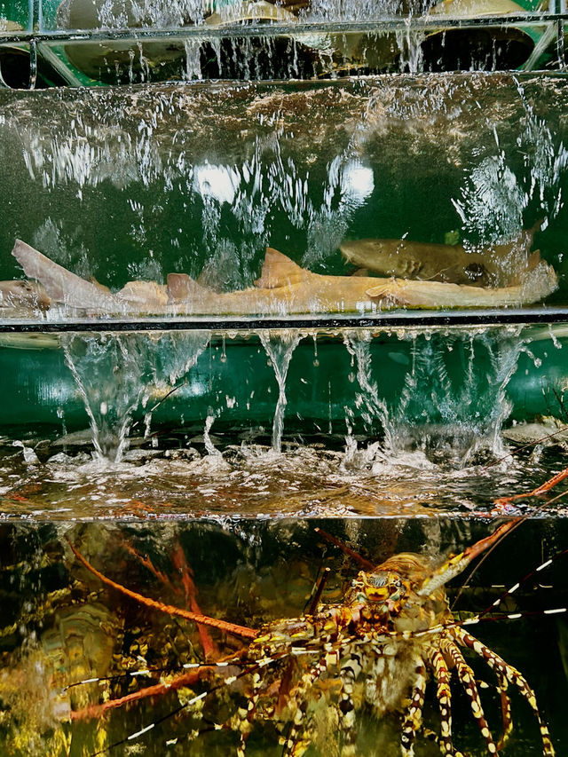 PHU QUOC — THE PLACE YOU'D WANT TO NEVER LEAVE PHU QUOC — THE PLACE YOU'D WANT TO NEVER LEAVE