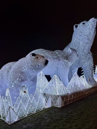 新年散步：在羅斯托基諾公園的白熊