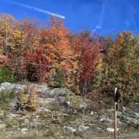 Algonquin Provincial Park