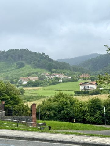 蝦子愛好者的夢想🍤