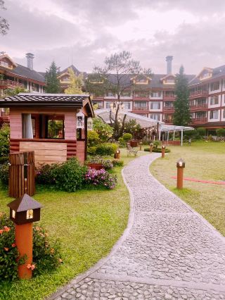 🌲 THE HIGHLAND HEARTH: Baguio’s 2026 Creative Renaissance 🇵🇭✨ 