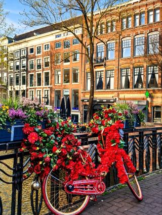 Amsterdam highlights | A'DAM
