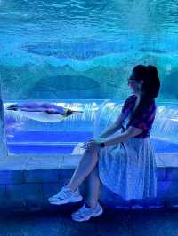 North Phu Quoc 2-day plan: Safari, Grand World and VinWonders in the right order
