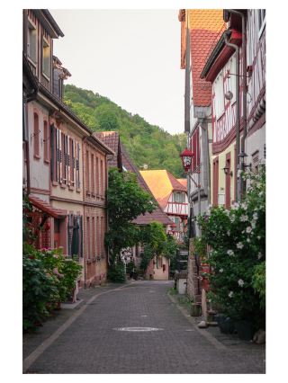Once in 📍Heppenheim...
This city has preserved the beauty of old Germany. Its traditional architecture, wooden shutters, historic houses, and local culture still reflect the charm and spirit of past centuries.
