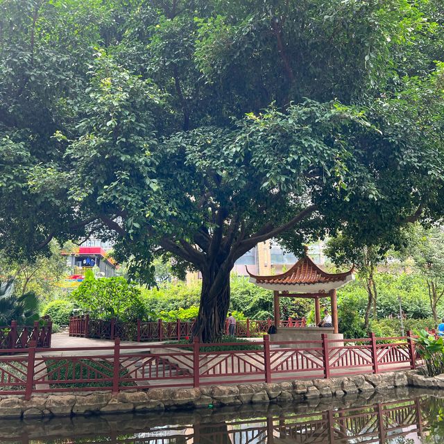  打卡深圳兒童公園