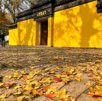 蘇州の紅葉の名所といえば「天平山」